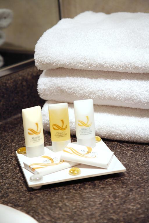 Quality Hotel Downtown-Inn At False Creek Vancouver Phòng bức ảnh